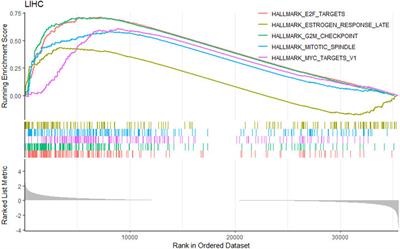 DeepCBS: shedding light on the impact of mutations occurring at CTCF binding sites